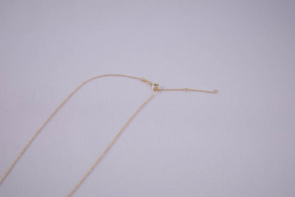 ALIITA NADADORA BIKINI　ネックレス